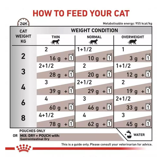 غذای خشک گربه گاسترواینتستینال رویال کنین Royal Canin Gastrointestinal وزن 2 کیلوگرم