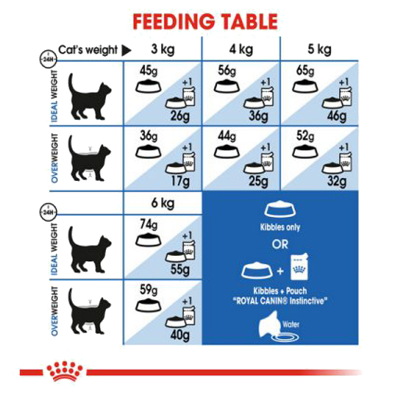  غذای خشک گربه رویال کنین Royal Canin Indoor Home Life وزن 2 کیلوگرم 