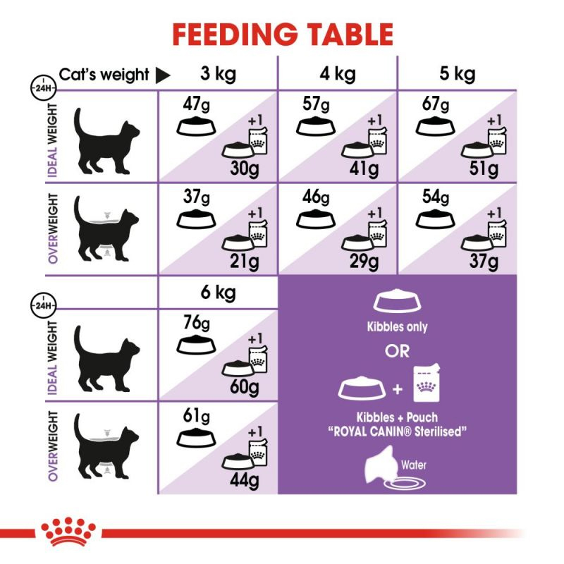 غذای خشک گربه عقیم شده رویال کنین Royal Canin Regular Sterilised وزن 15 کیلوگرم 