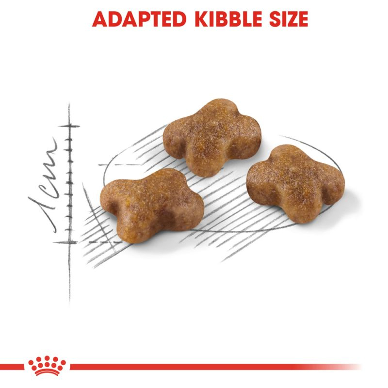  غذای خشک بچه گربه رویال کنین Royal Canin Kitten وزن 500گرم 