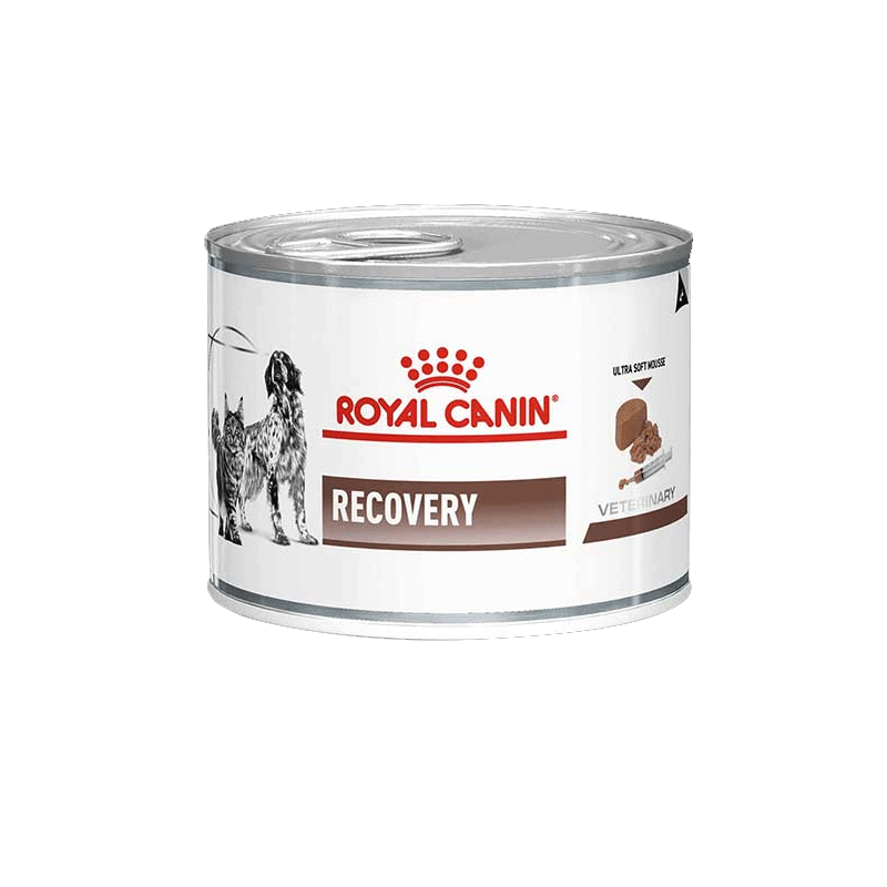 کنسرو غذای ریکاوری سگ و گربه رویال کنین Royal Canin Recovery Mousse Can وزن ۱۹۵ گرم