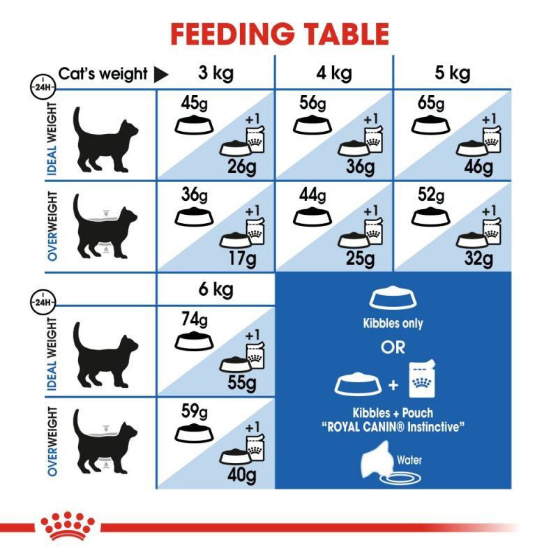 غذای خشک گربه ایندور رویال کنین Royal Canin Indoor Home Life وزن 2 کیلوگرم