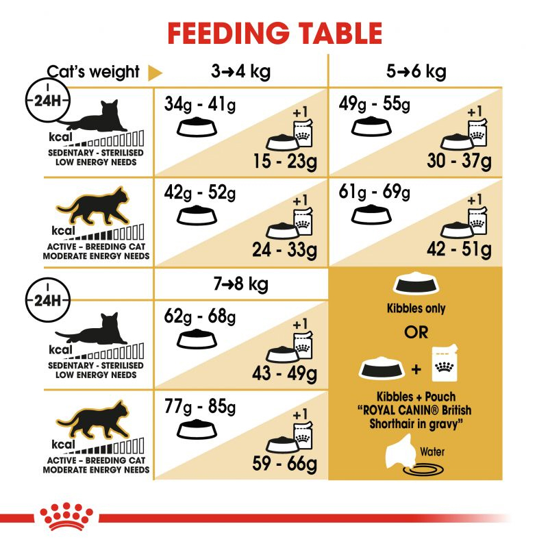  غذای خشک گربه بریتیش رویال کنین Royal Canin Adult British ShortHair وزن 2 کیلوگرم 