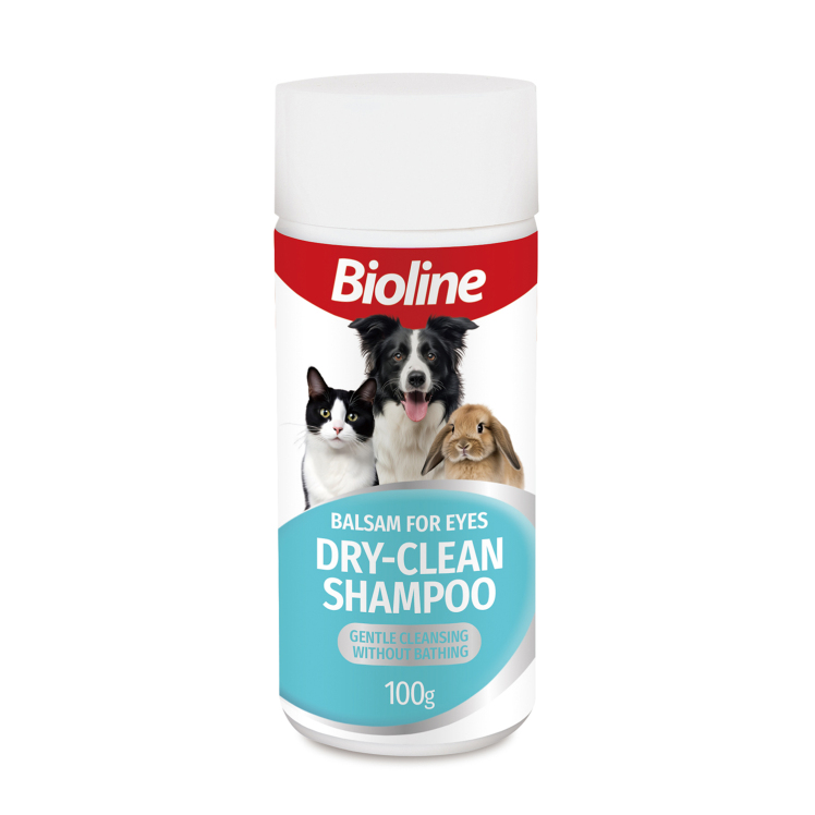 شامپو خشک بایولاین Bioline Dry Shampoo وزن 100 گرم