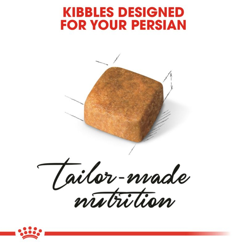  غذای خشک بچه گربه نژاد پرشین رویال کنین Royal Canin Kitten Persian وزن 2 کیلوگرم 