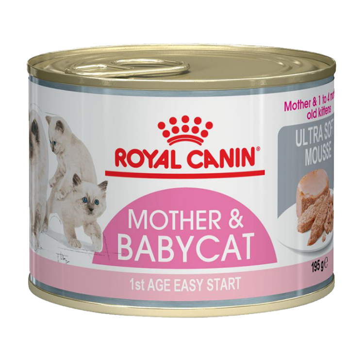 کنسرو غذای گربه مادر و نوزاد رویال کنین Royal Canin Pack Mother & Baby