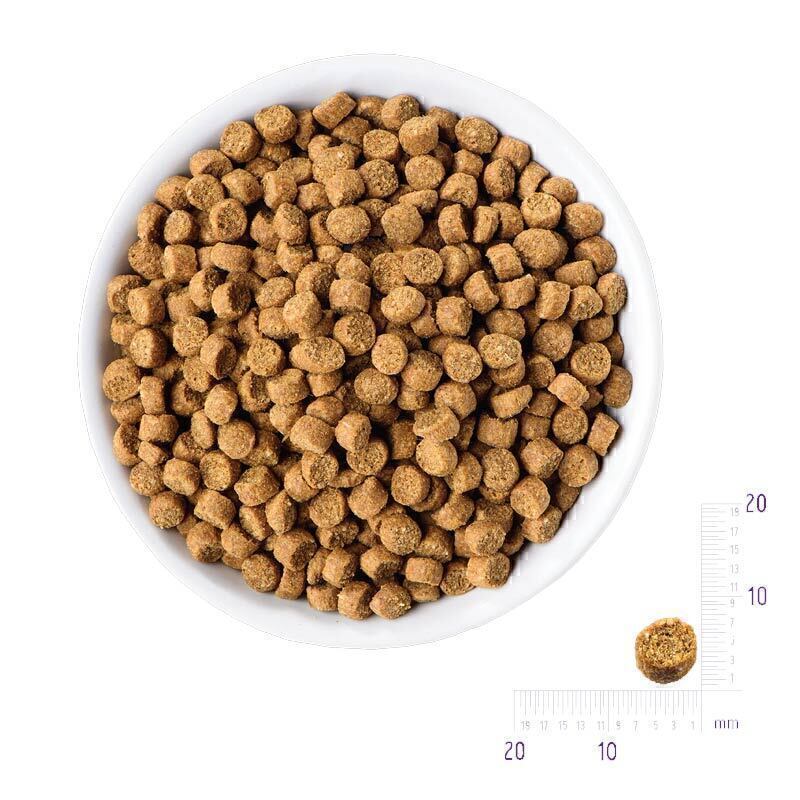 غذای خشک گربه بالغ با طعم مرغ رفلکس پلاس Reflex Plus Adult Chicken وزن 1.5 کیلوگرم 