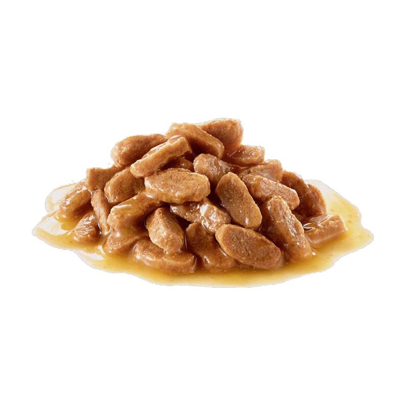  پوچ توله سگ نژاد کوچک رویال کنین Royal Canin Mini Puppy وزن ۸۵ گرم 