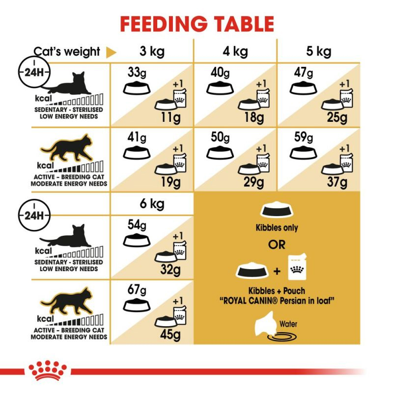  غذای خشک گربه نژاد پرشین رویال کنین Royal Canin Persian Adult وزن 10 کیلوگرم 